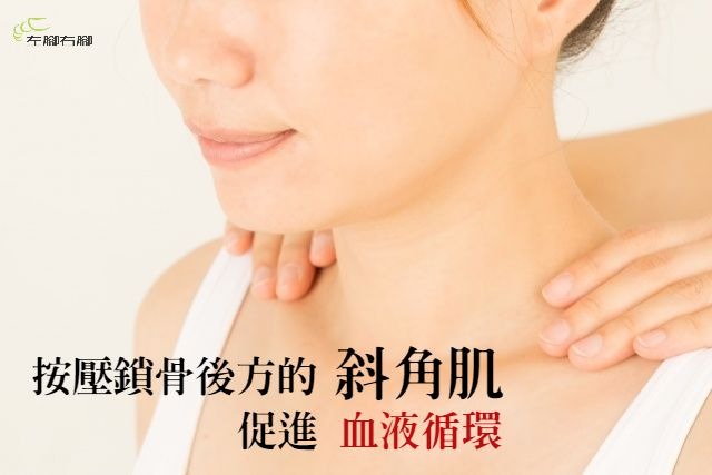 改善手腳冰冷，就按壓鎖骨後方的斜角肌